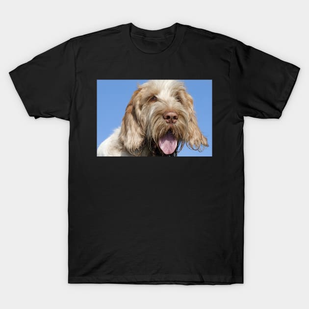 Blue Sky Spinone T-Shirt by heidiannemorris